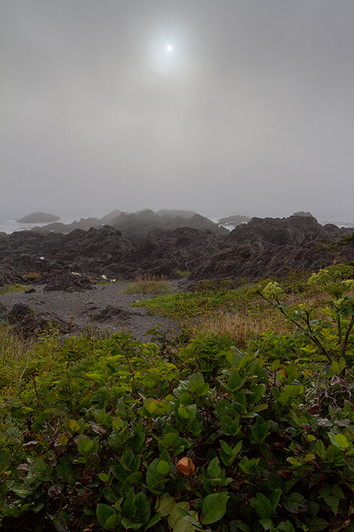 09-18 - 07.jpg - Wild Pacific Trail, Vancouver Island, BC